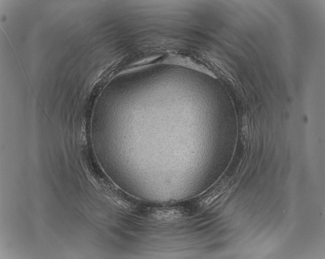 X0000072520547200608041534