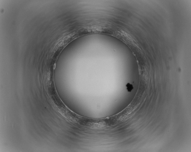 X0000072520548200608041534