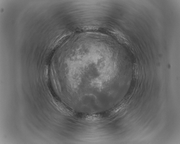 X0000072520550200608041534