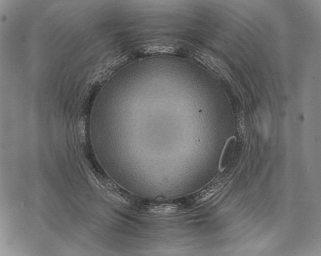 X0000072520551200608041534