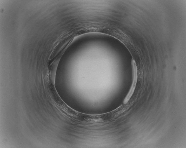 X0000072520552200608041535