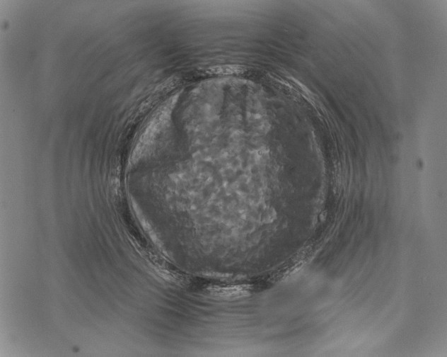 X0000072520553200608041535