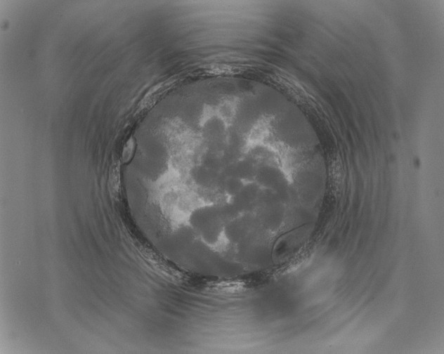 X0000072520554200608041535