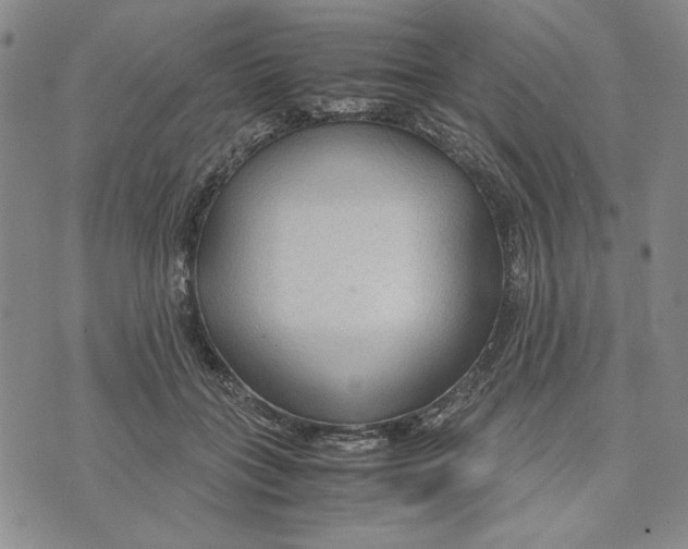 X0000072520555200608041535