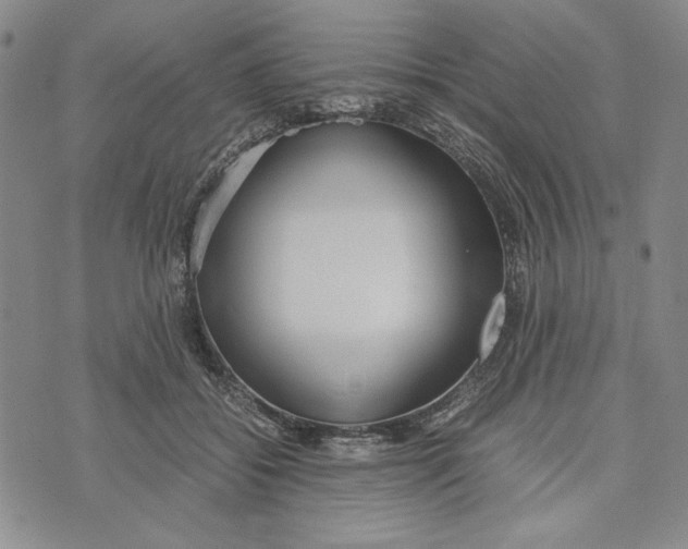 X0000072520556200608041535