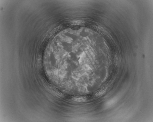 X0000072520557200608041535