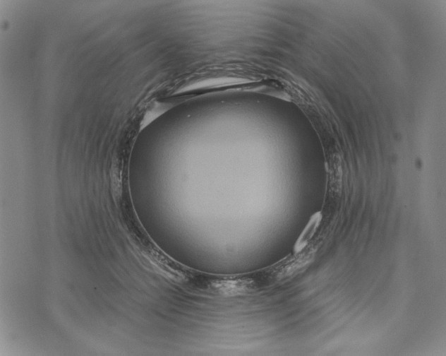 X0000072520558200608041535