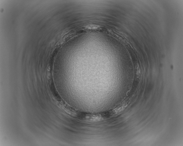 X0000072520559200608041535