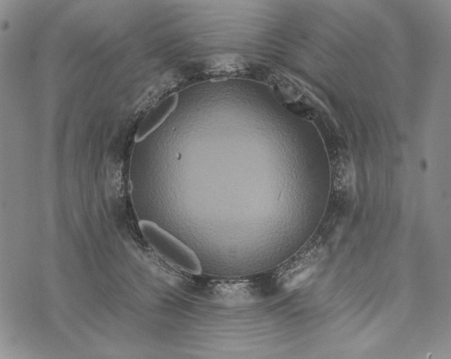 X0000072520560200608041535