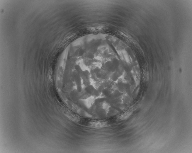 X0000072520561200608041535