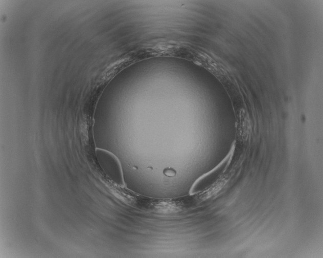 X0000072520562200608041535