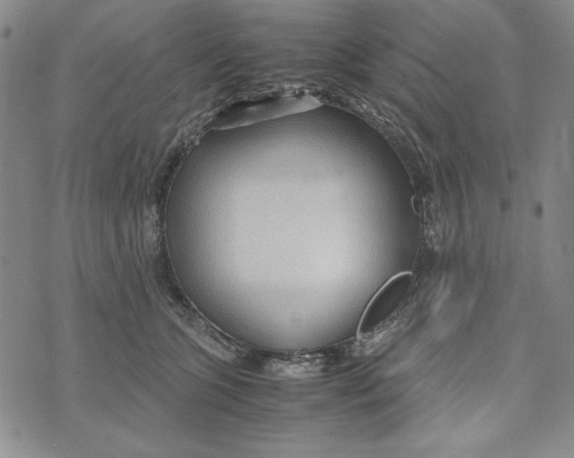 X0000072520563200608041535