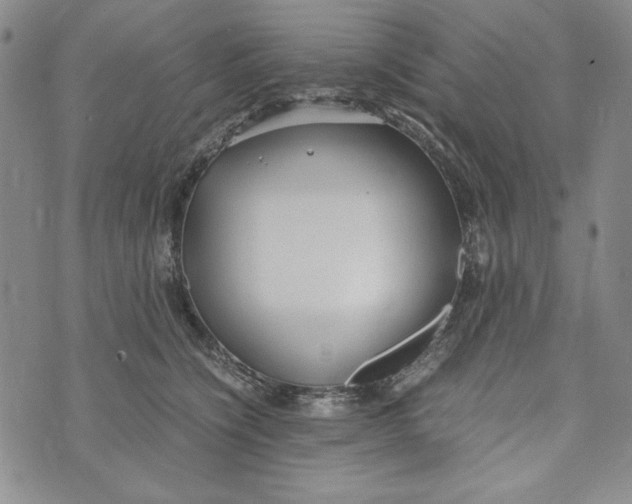 X0000072520564200608041535