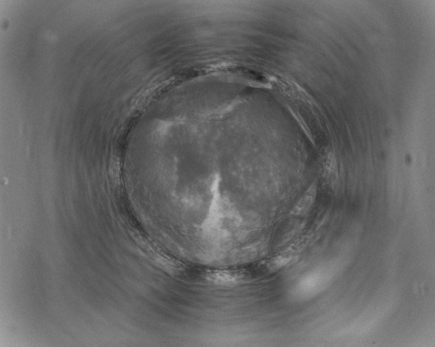 X0000072520565200608041535