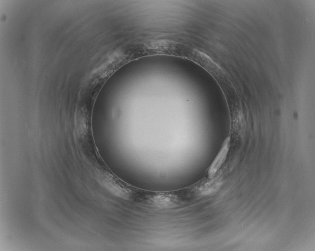 X0000072520566200608041535