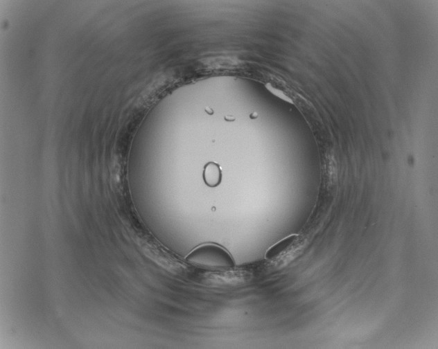 X0000072520567200608041535