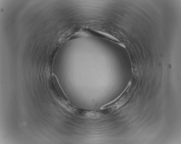 X0000072520568200608041535