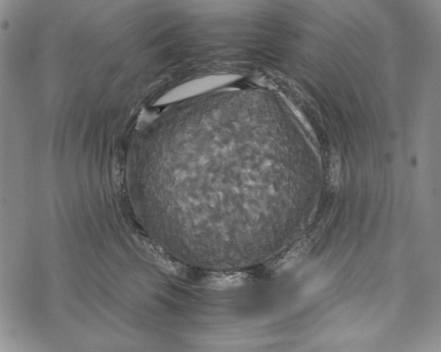 X0000072520569200608041535