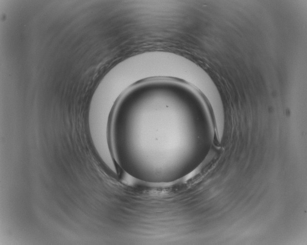 X0000072520570200608041535