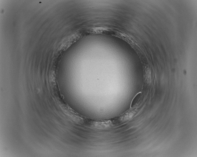 X0000072520571200608041535