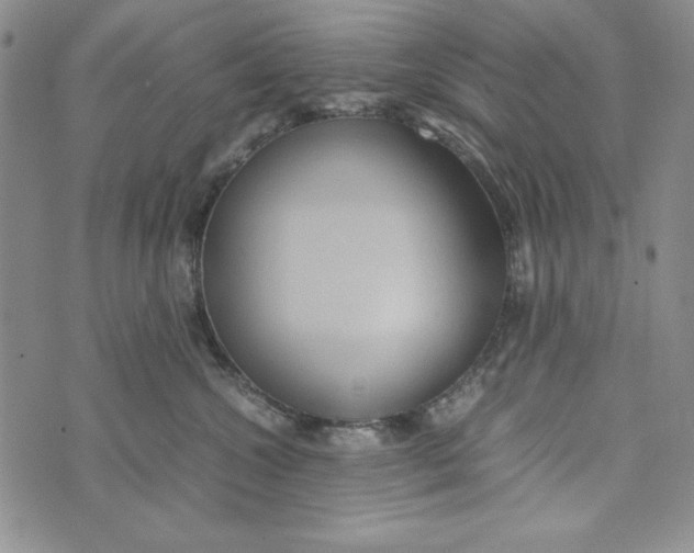 X0000072520572200608041535