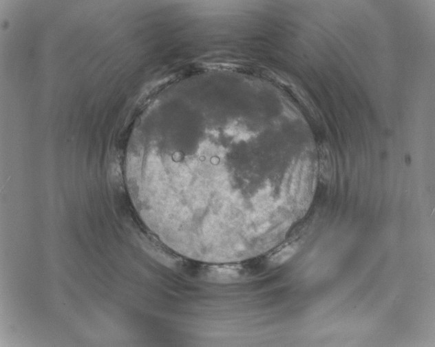 X0000072520573200608041535