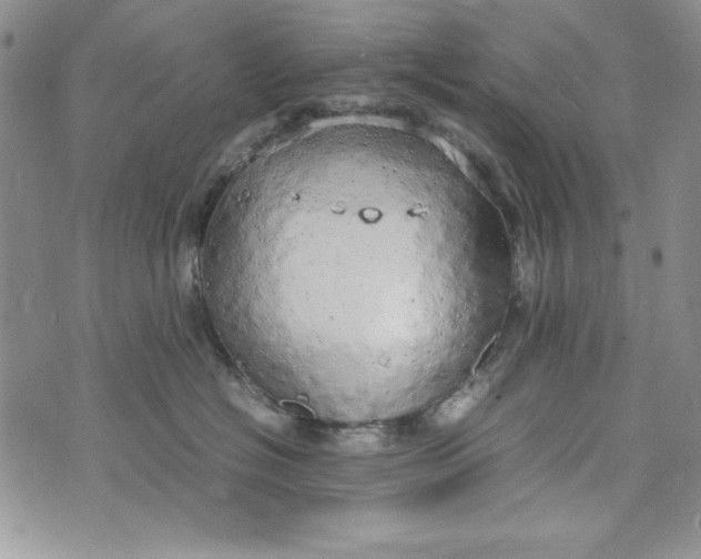 X0000072520574200608041535