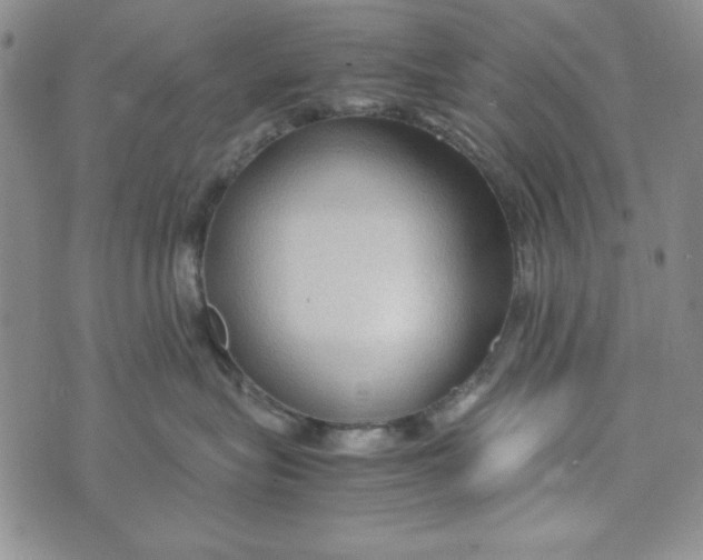 X0000072520575200608041535