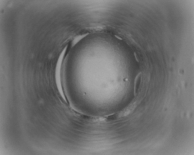 X0000072520576200608041535