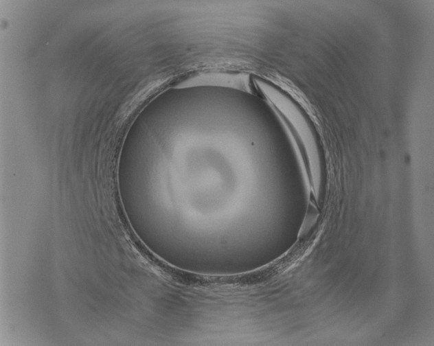 X0000072520577200608041534