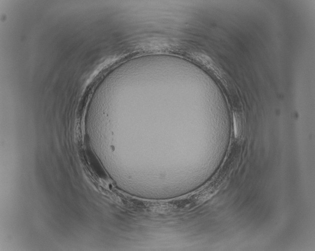 X0000072520579200608041534