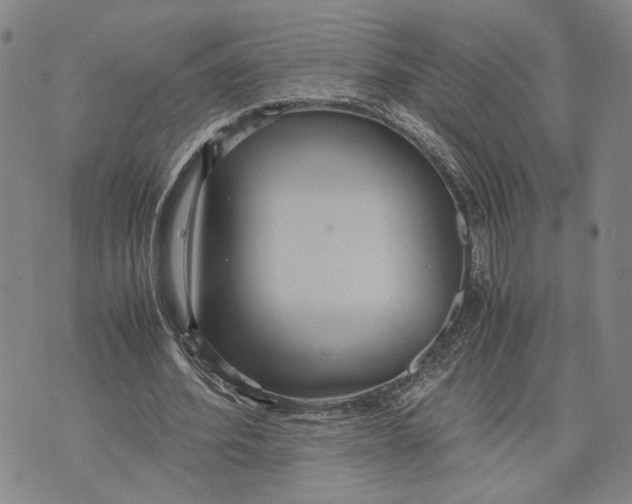 X0000072520580200608041534