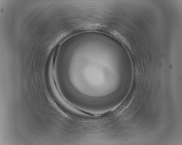 X0000072520581200608041534