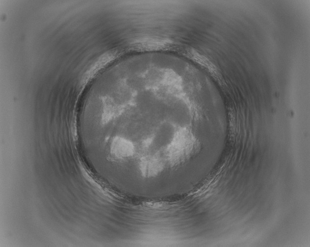 X0000072520582200608041534