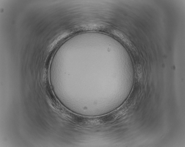 X0000072520583200608041534