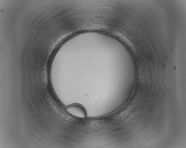 X0000072520584200608041534