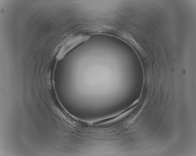 X0000072520585200608041534