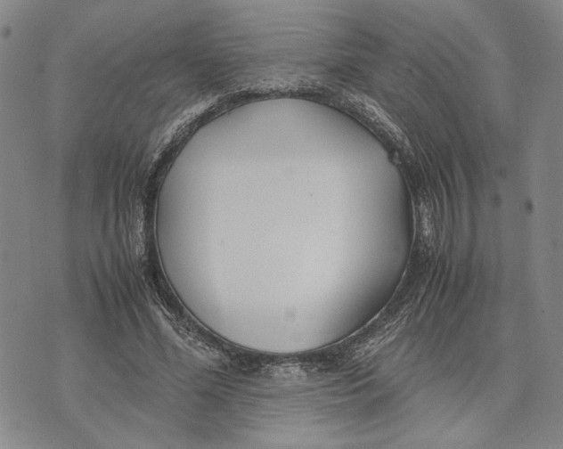 X0000072520588200608041534