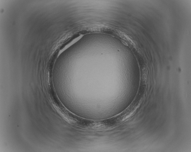 X0000072520589200608041534