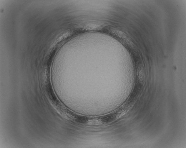 X0000072520591200608041534