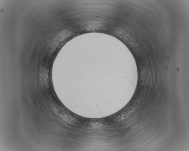 X0000072520592200608041534