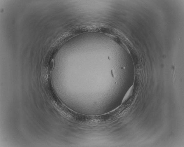 X0000072520593200608041534