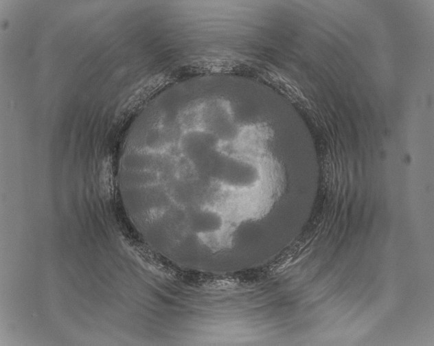 X0000072520594200608041534