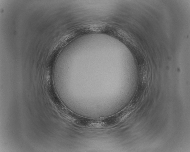 X0000072520595200608041534