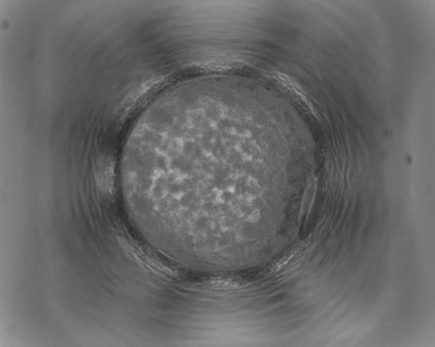 X0000072520596200608041534