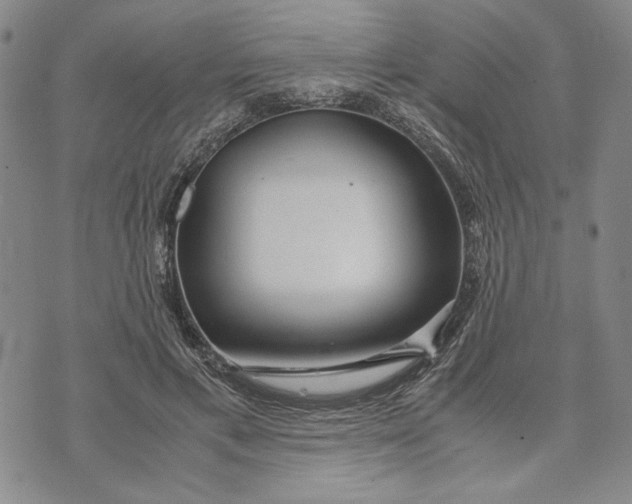 X0000072520597200608041534