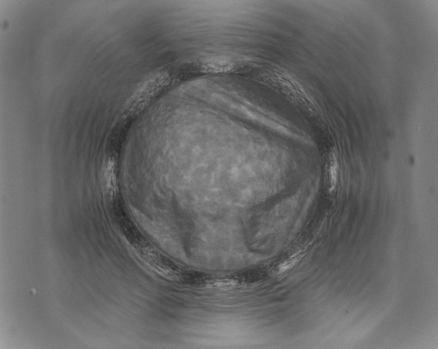 X0000072520598200608041534