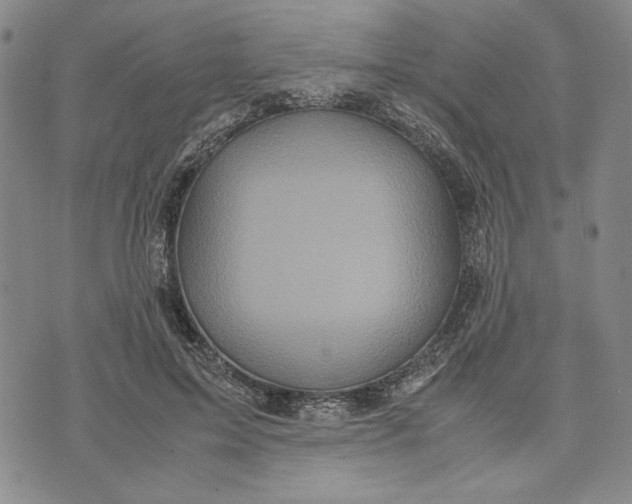 X0000072520599200608041534