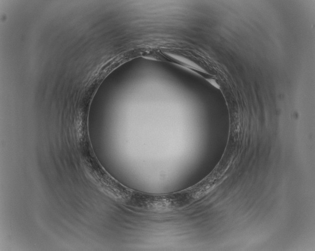 X0000072520600200608041534