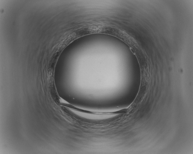 X0000072520601200608041534